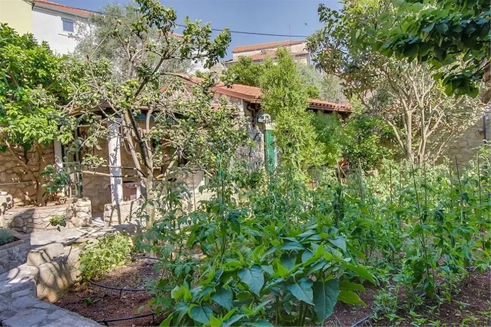 Ferienwohnung in Zadar  999241092 43266 – Foto 5