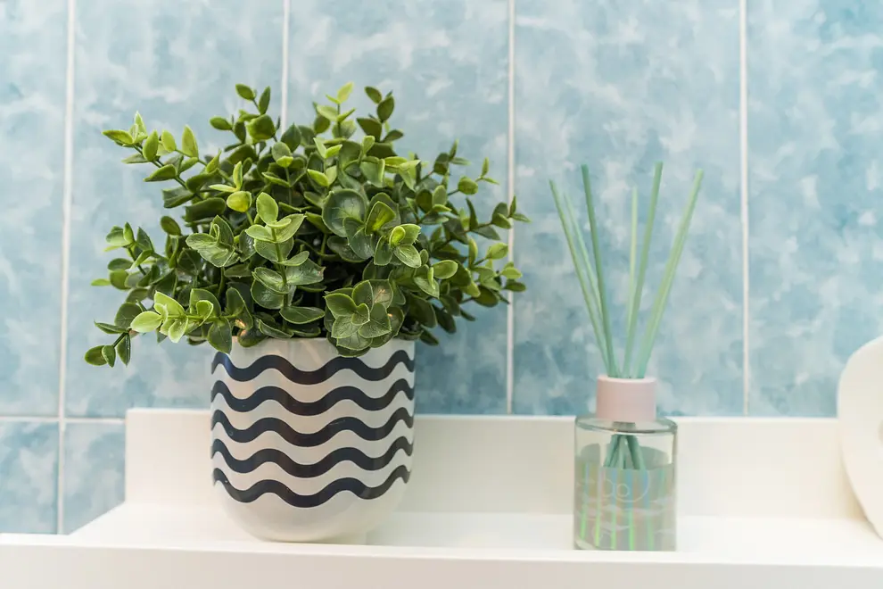 Ferienwohnung in Sukosan  999208265 36242