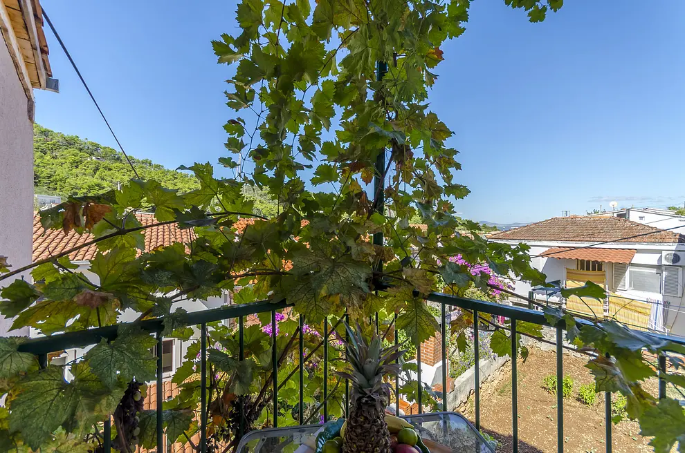 Ferienwohnung in Solta haustiergeeignet 66131813 17098