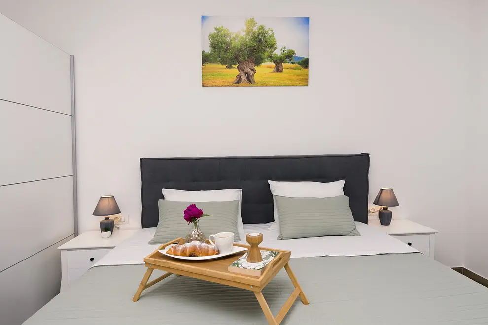 Ferienhaus in Benkovac mit Pool 999212929 40485 – Foto 32