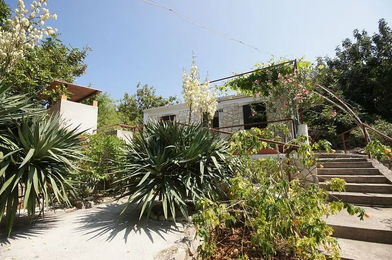 Ferienwohnung in Vis  66152043 26012