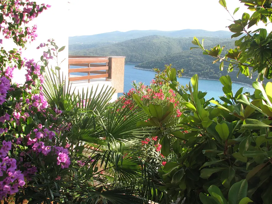 Ferienwohnung in Labin  999204595 32787