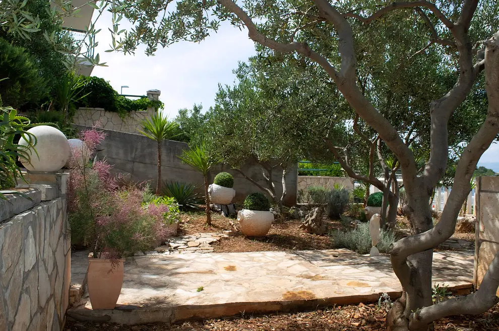 Ferienwohnung in Solta haustiergeeignet 999208251 36228