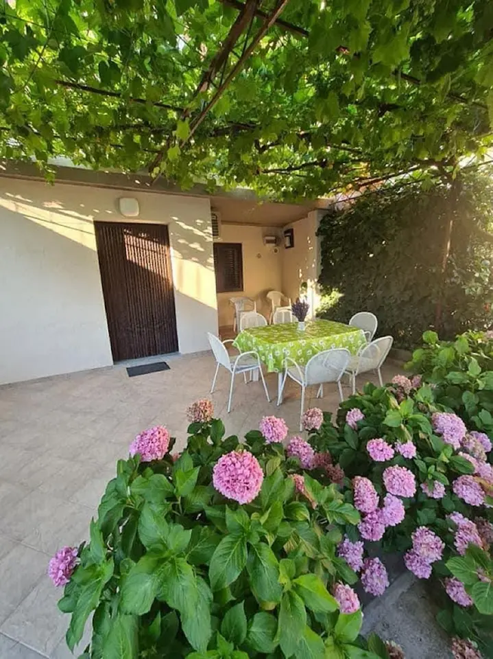 Ferienwohnung in Sukosan haustiergeeignet 999210674 38517
