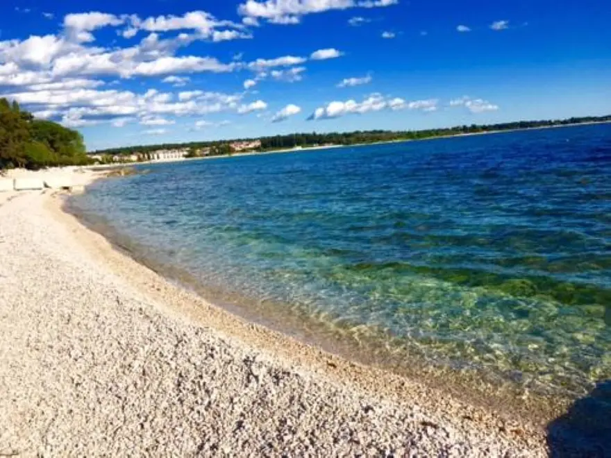 Ferienwohnung in Umag mit Pool 999211524 39292 – Foto 16