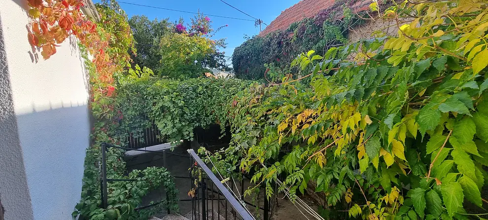Ferienwohnung in Primosten haustiergeeignet 999203663 31896 – Foto 12