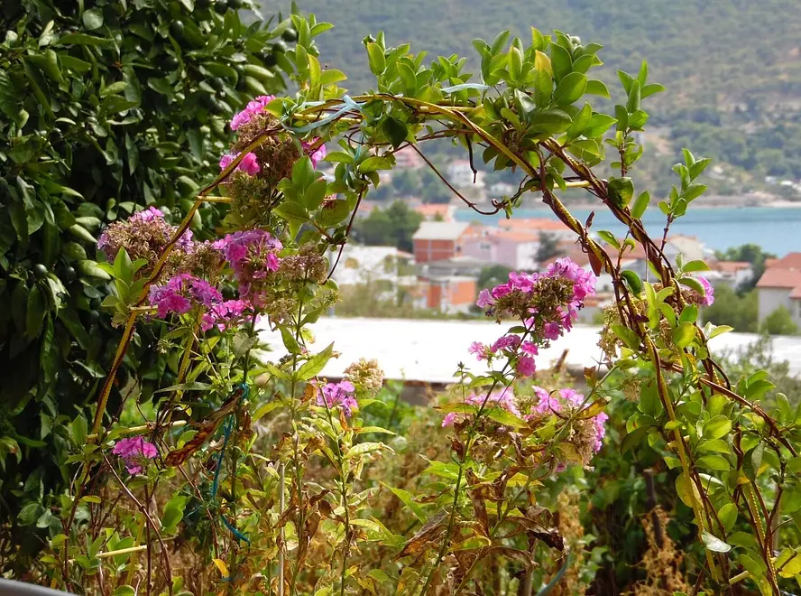 Ferienwohnung in Sibenik  999211016 38840 – Foto 18