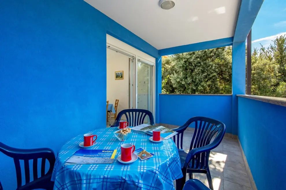 Ferienwohnung in Mandre  999212512 40126 – Foto 8