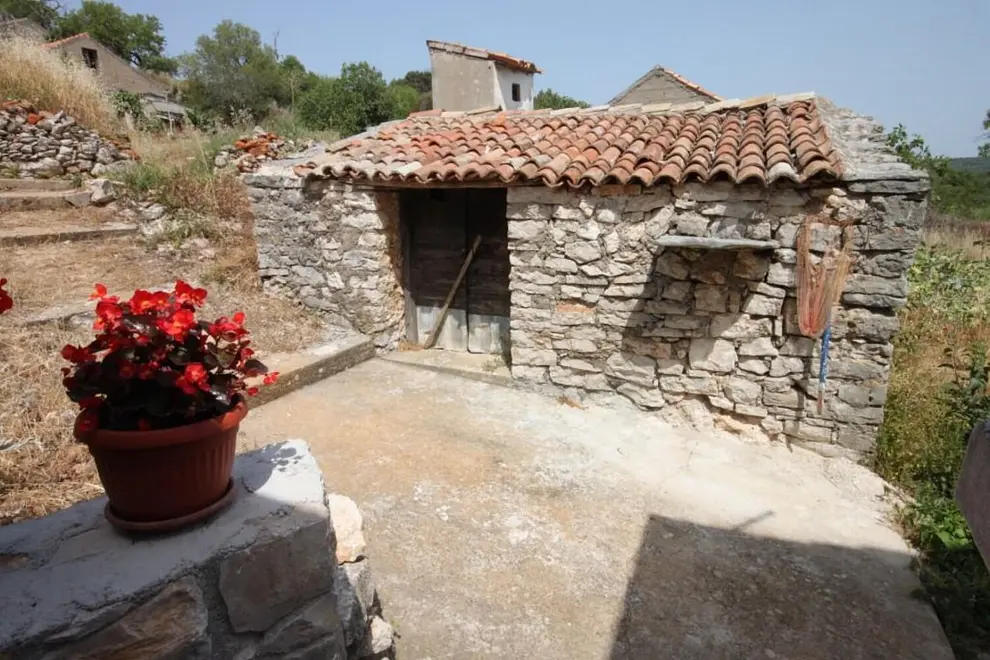 Ferienwohnung in Dugi Otok haustiergeeignet 999211540 39308 – Foto 5