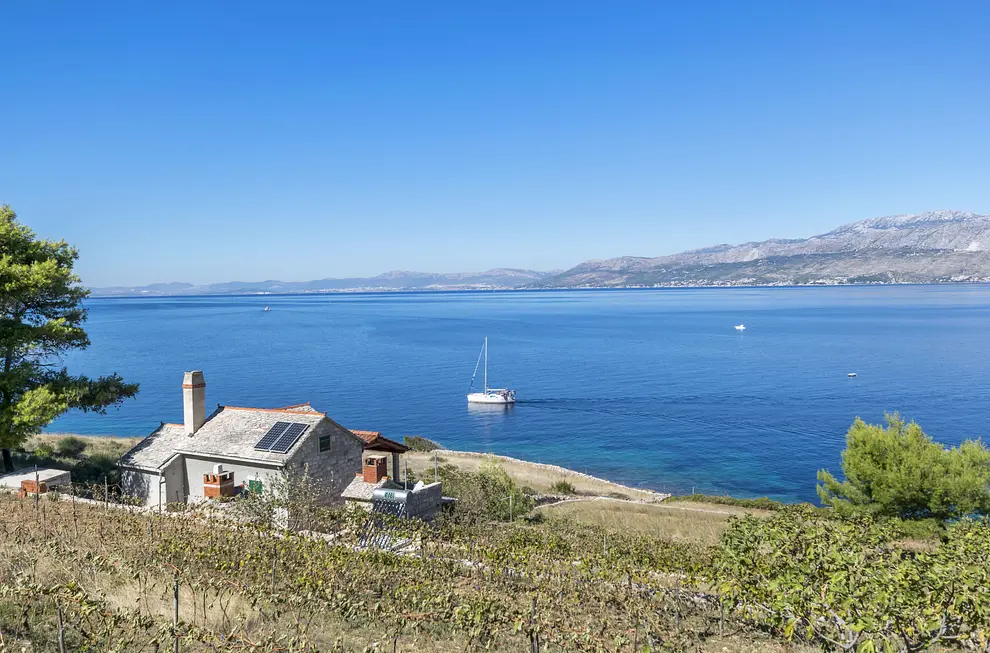 Ferienwohnung in Brac haustiergeeignet 66119920 8028