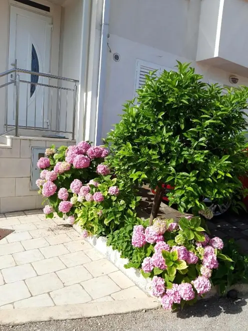 Ferienwohnung in Dubrovnik  999212197 39878 – Foto 14
