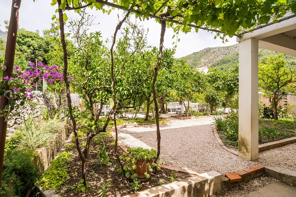 Ferienwohnung in Dubrovacko Primorje  999225856 42443 – Foto 21