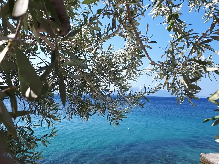 Ferienappartment in Ploce mit Pool 999202869 31142 – Foto 22
