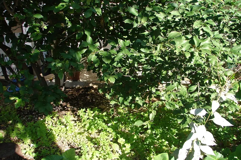 Ferienwohnung in Makarska  999206873 34958 – Foto 10