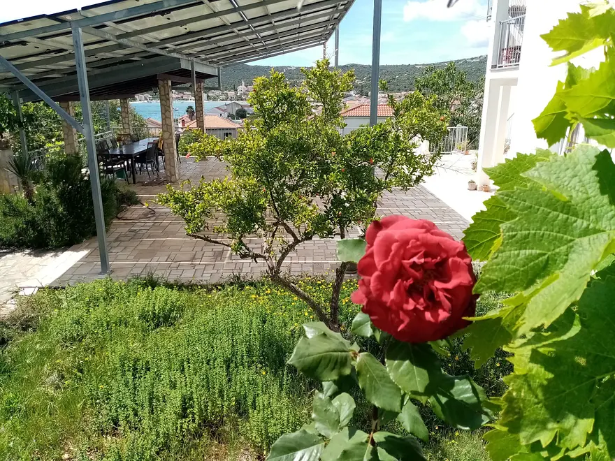 Ferienwohnung in Marina  999212903 40460 – Foto 27