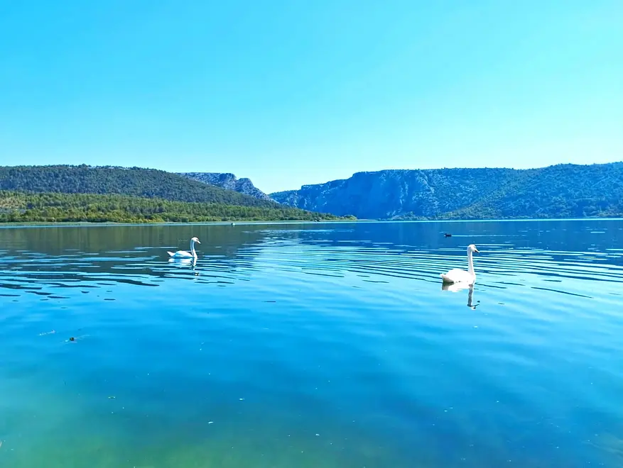 Ferienhaus in Sibenik mit Pool 999199140 30578 – Foto 41