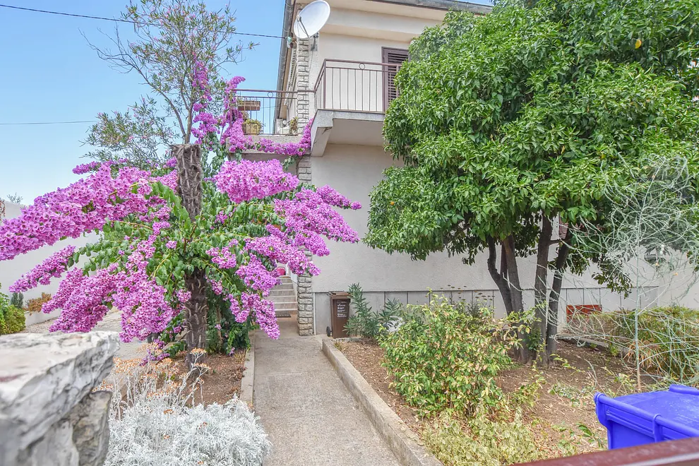 Ferienwohnung in Biograd  66137584 20752