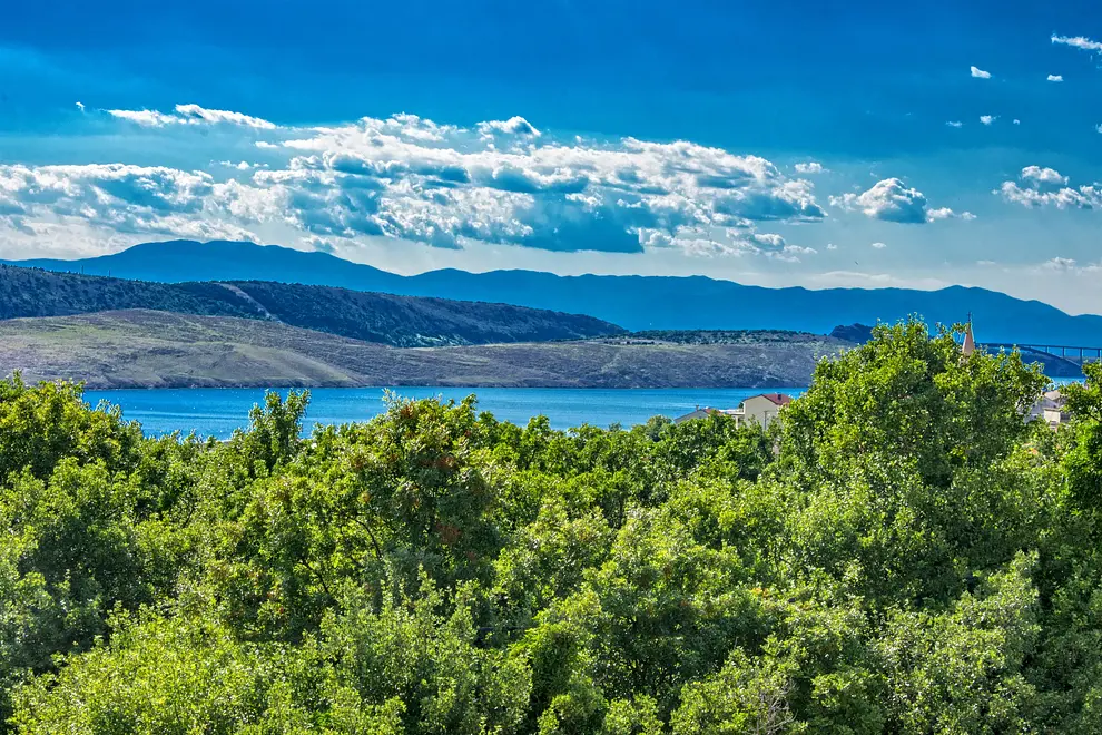 Ferienwohnung in Crikvenica  6619828 3158