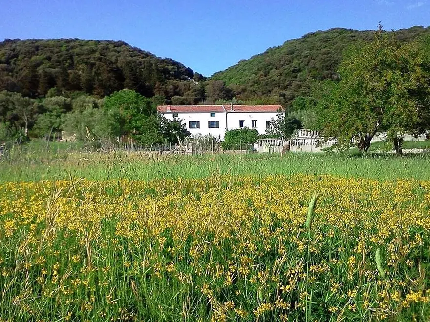 Ferienwohnung in Rab  999206361 34466 – Foto 7