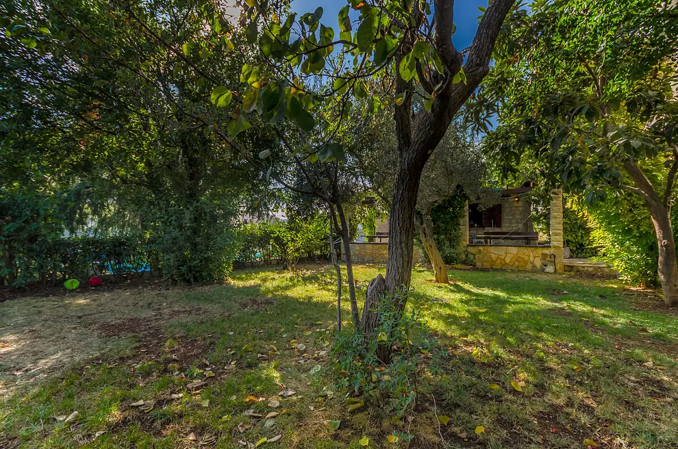 Ferienwohnung in Seget mit Pool 999203164 31420 – Foto 10