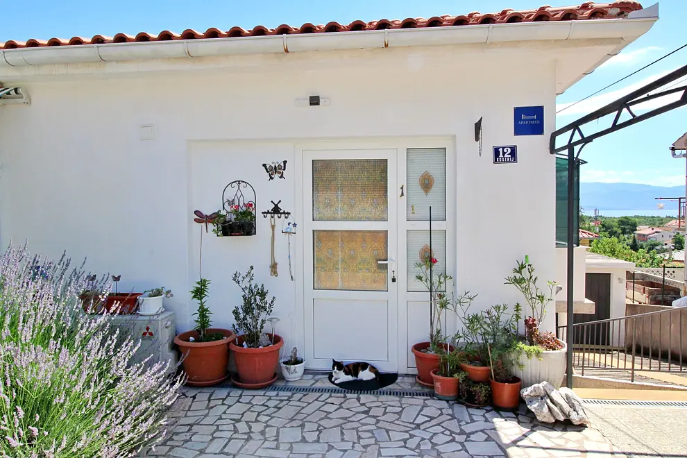 Ferienwohnung in Dobrinj  999224016 42127 – Foto 3