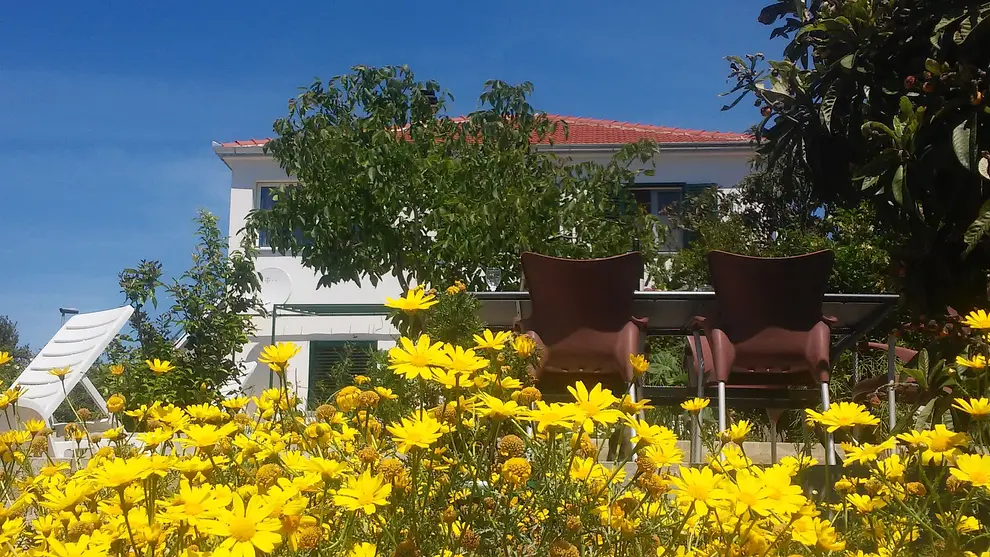 Ferienwohnung in Rogoznica  999206742 34831 – Foto 12