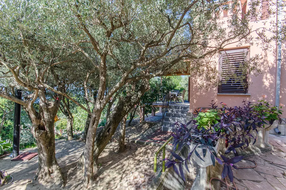 Ferienwohnung in Makarska haustiergeeignet 999202762 31036 – Foto 12