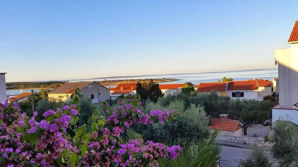 Ferienwohnung in Novalja mit Pool 999210348 38212 – Foto 12