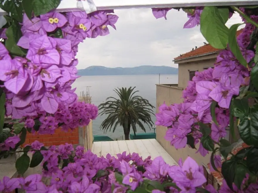 Ferienwohnung in Ploce  999213036 40576 – Foto 3