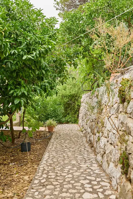 Ferienwohnung in Mljet  999211190 39003 – Foto 3