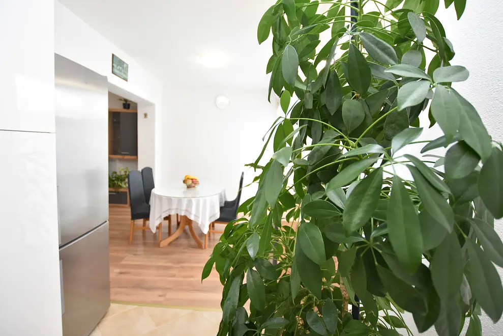 Ferienwohnung in Primosten  999209227 37156 – Foto 15