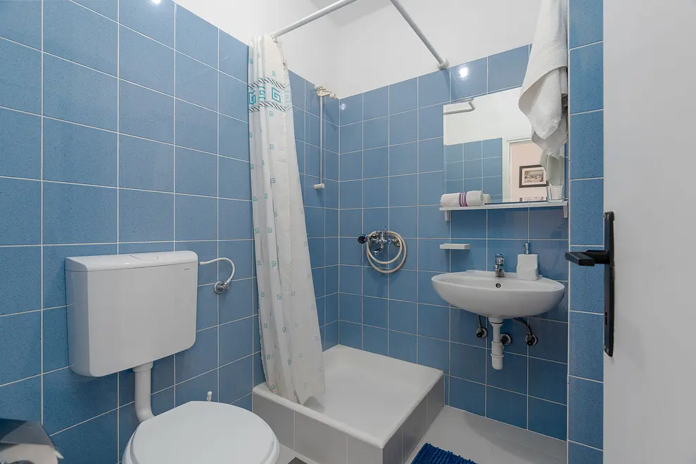 Ferienwohnung in Mandre haustiergeeignet 999203454 31702 – Foto 15