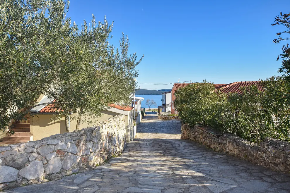 Ferienwohnung in Pasman mit Pool und haustiergeeignet 66134516 19244