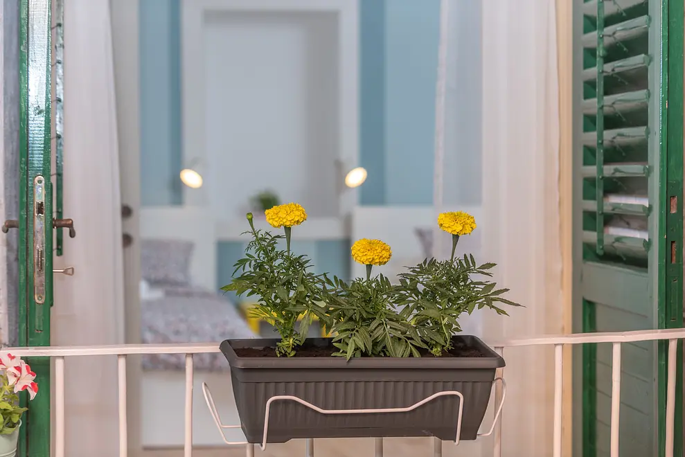 Ferienwohnung in Ciovo  999209051 36990 – Foto 8
