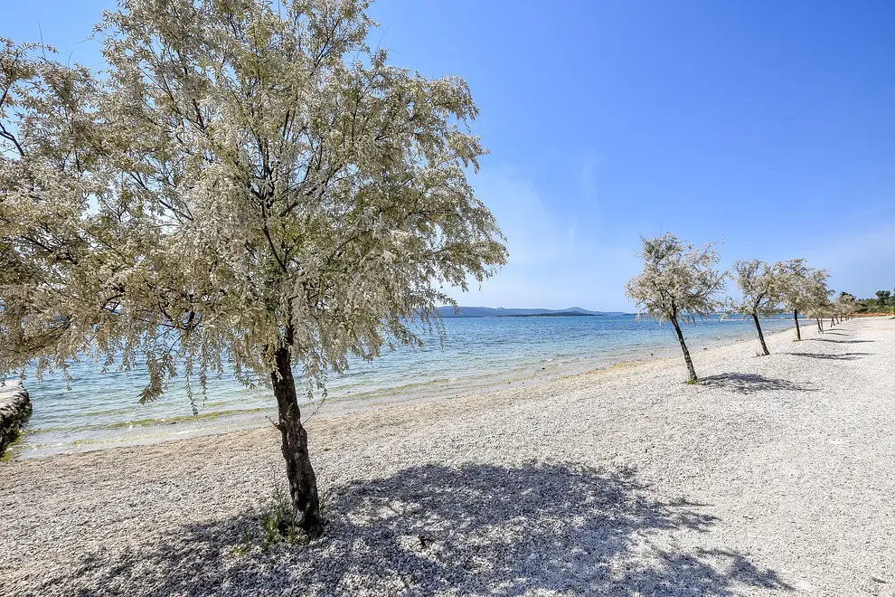 Ferienwohnung in Biograd haustiergeeignet 999209861 37760 – Foto 8