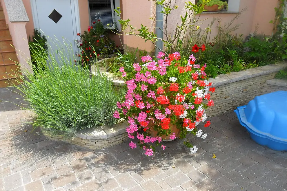 Ferienwohnung in Zadar  999212181 39866 – Foto 21