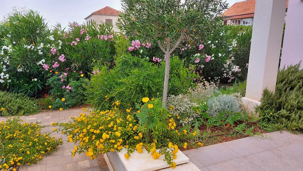 Ferienhaus in Solta mit Pool 999206979 35062 – Foto 40