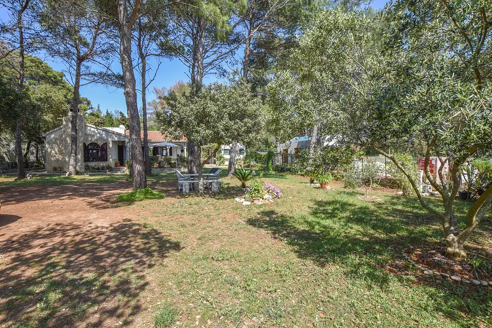Ferienwohnung in Dugi Otok  999202562 30839 – Foto 22