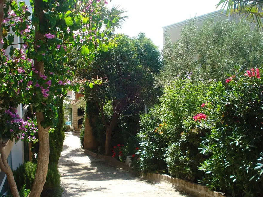 Ferienwohnung in Podstrana  999213084 40624 – Foto 22