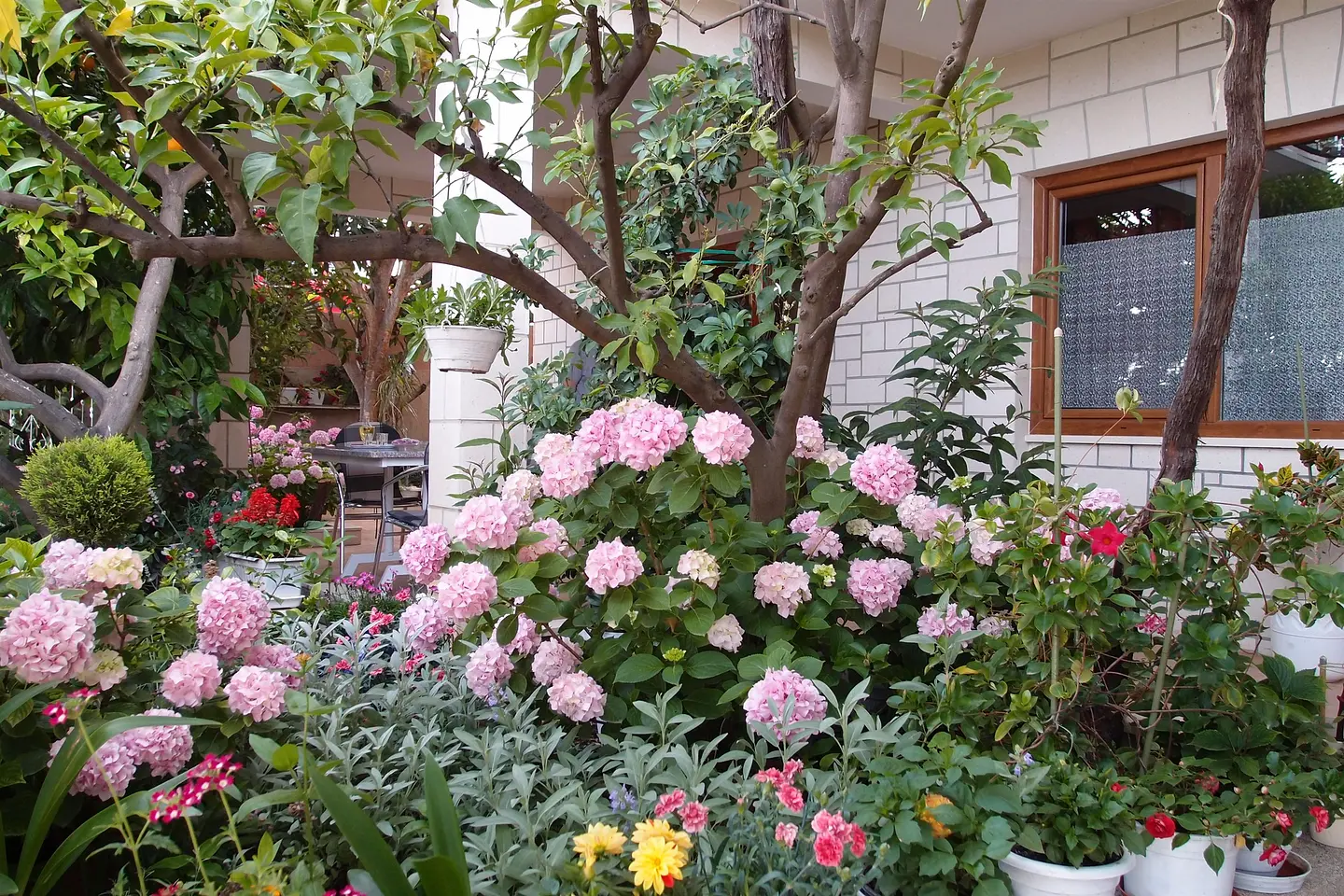 Ferienwohnung in Trogir  999205001 33172