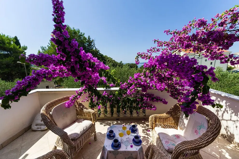 Ferienwohnung in Zadar  66152636 26462