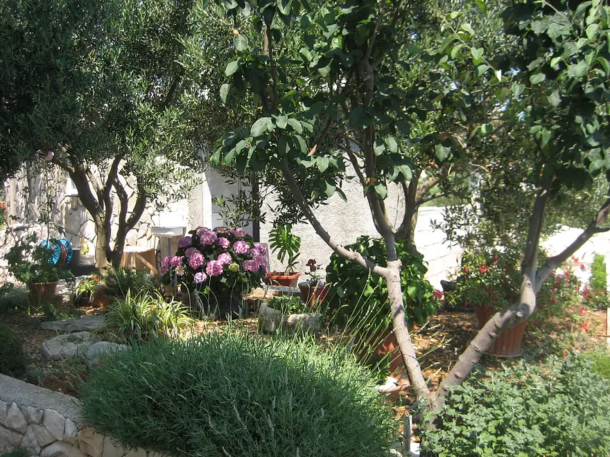 Ferienwohnung in Rogoznica mit Pool 999205518 33673 – Foto 21
