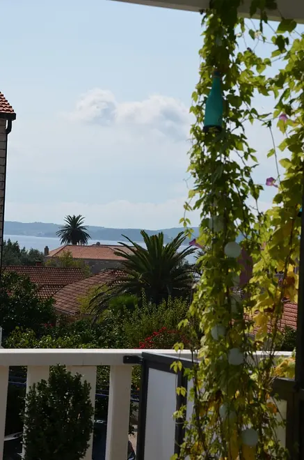 Ferienwohnung in Orebic  66152656 26482