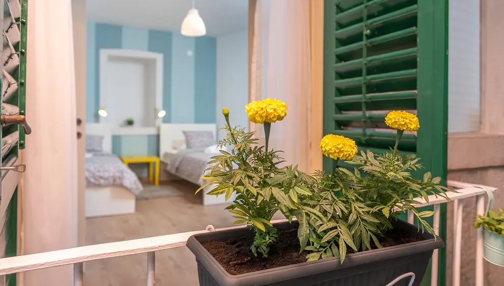 Ferienwohnung in Ciovo  999209051 36990 – Foto 6