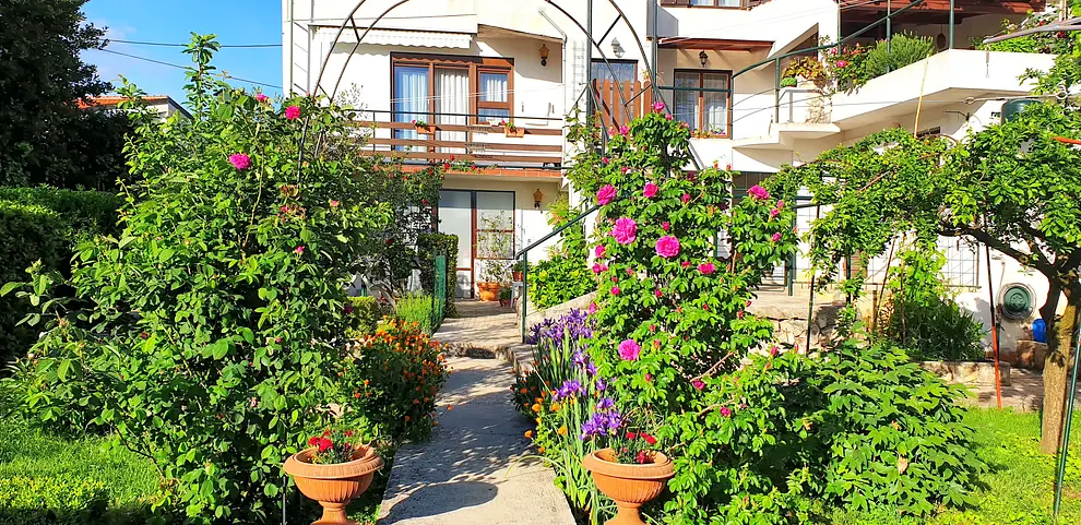 Ferienwohnung in Bibinje  999203064 31323 – Foto 26
