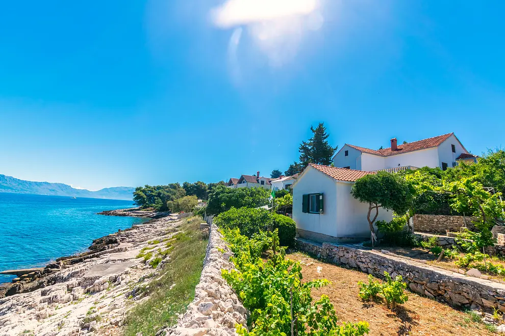 Ferienwohnung in Brac haustiergeeignet 66140516 22818