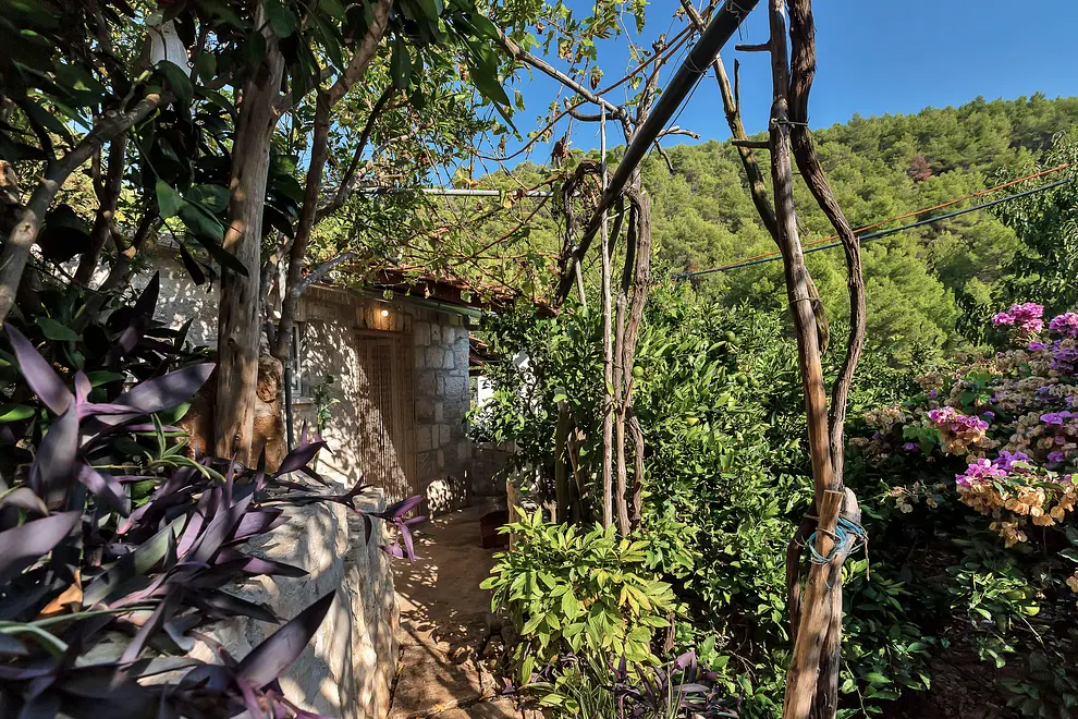 Ferienwohnung in Hvar haustiergeeignet 66131202 16624