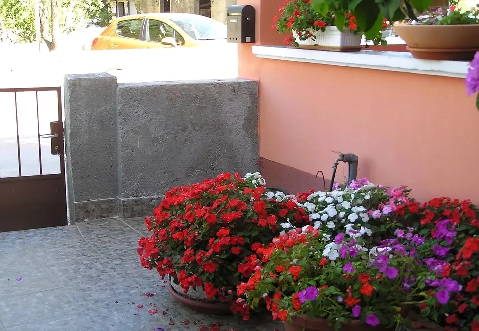 Ferienwohnung in Zadar  999209769 37675 – Foto 14