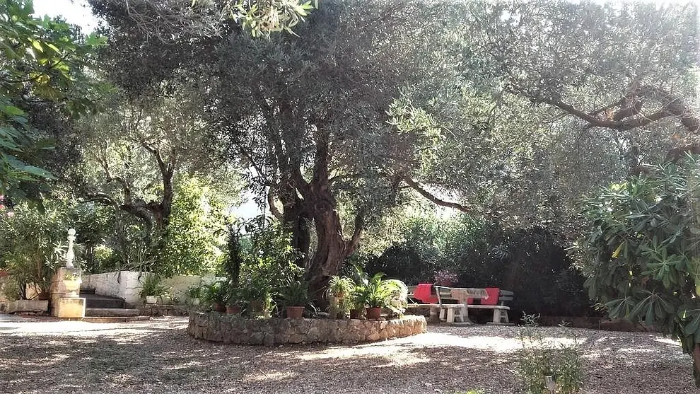 Ferienwohnung in Makarska  66153320 27013