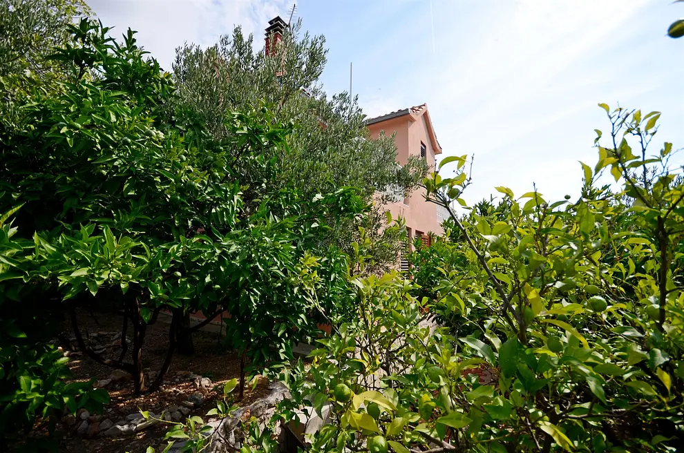 Ferienwohnung in Makarska haustiergeeignet 999202762 31036 – Foto 27